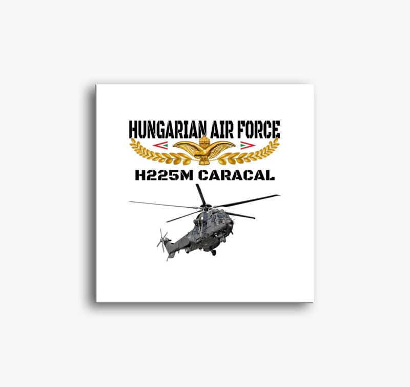 Aranysas H225M 3 slika na platnu