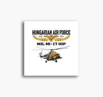 Aranysas Mi-17 slika