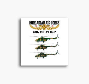 Aranysas Mi-17 2 sli...