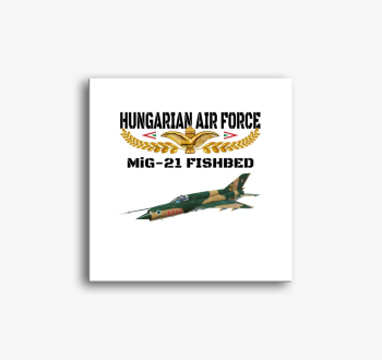 Aranysas MiG-21 slik...