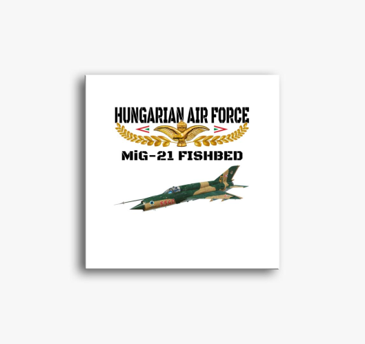 Aranysas MiG-21 slika na platn...