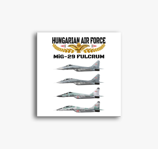 Aranysas MiG-29 2 slika na pla...