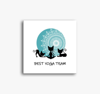 Best yoga team slika
