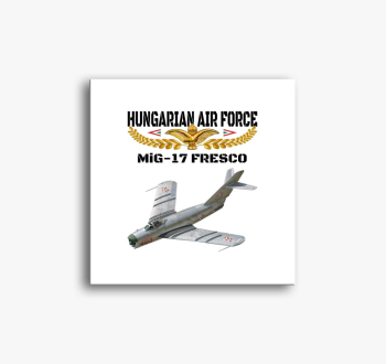 Aranysas MiG-17 slik...