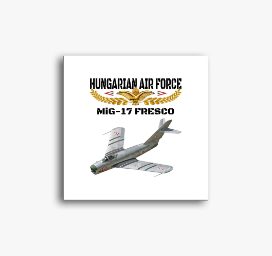 Aranysas MiG-17 slika na platn...