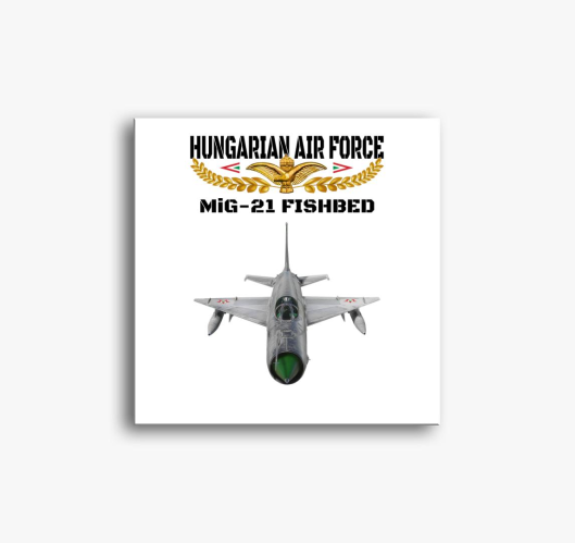 Aranysas MiG-21 3 slika na pla...