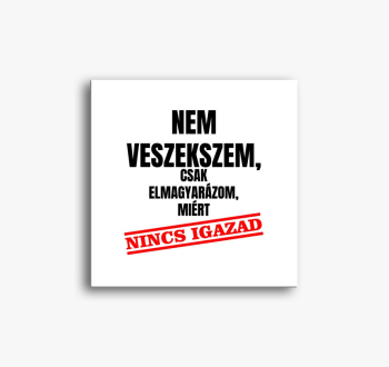 Ne veszekszem csak zakaj nincs igazad slika na platnu