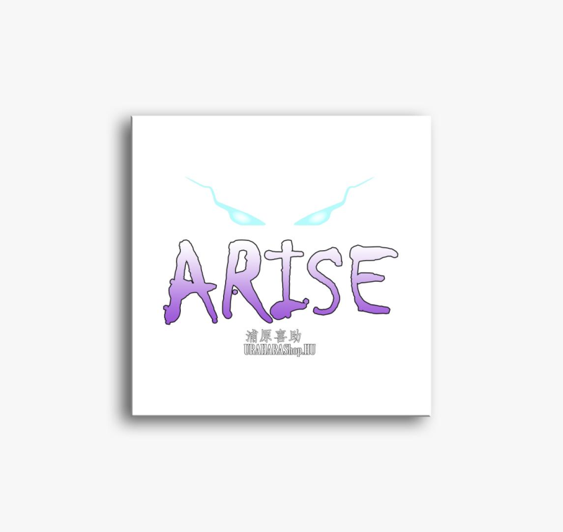 Solo Leveling Arise slika na platnu