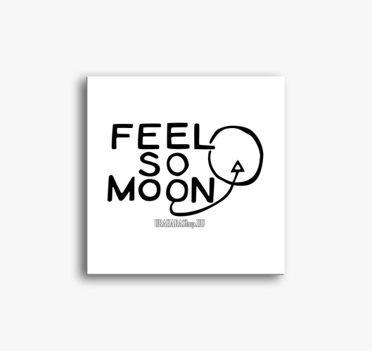 Feel so Moon slika na platnu