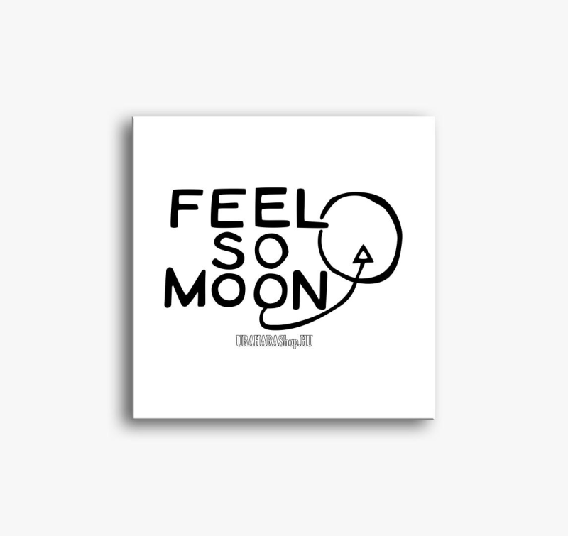 Feel so Moon slika na platnu