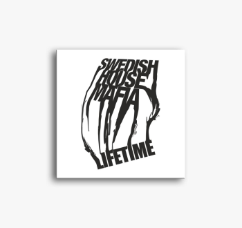 SHM- Lifetime slika 