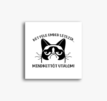 ember slika na platn