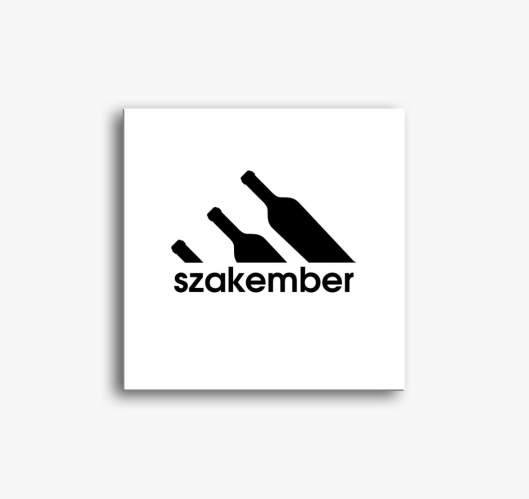 Szakember slika na platnu