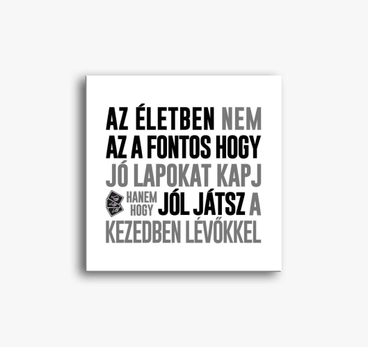 ne fontos2... slika na platnu