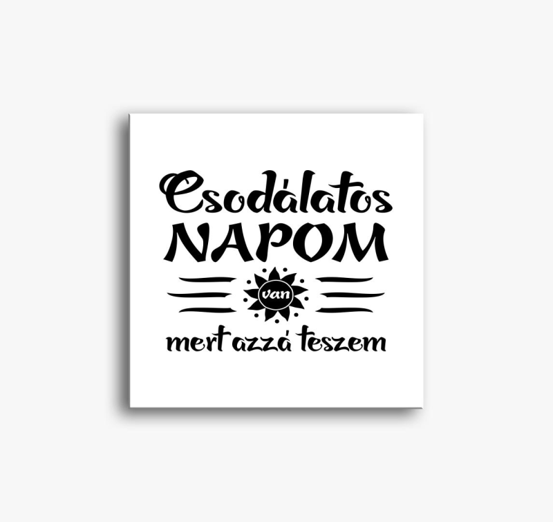 napom je2... slika na platnu