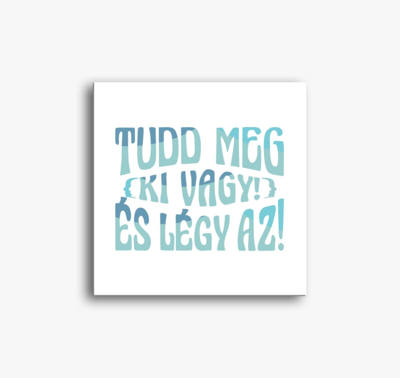 Tuddmeg, kivagy3... slika na platnu