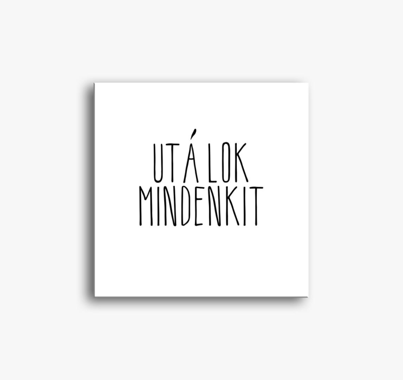 mindenkit slika na platnu