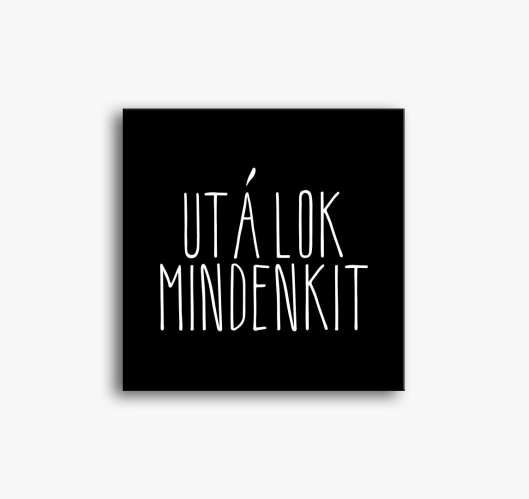 mindenkit slika na platnu