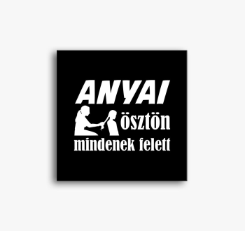 Anyai slika na platn