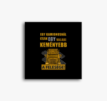 Kamionos slika na pl