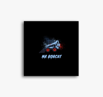 Mr Bobcat slika na p