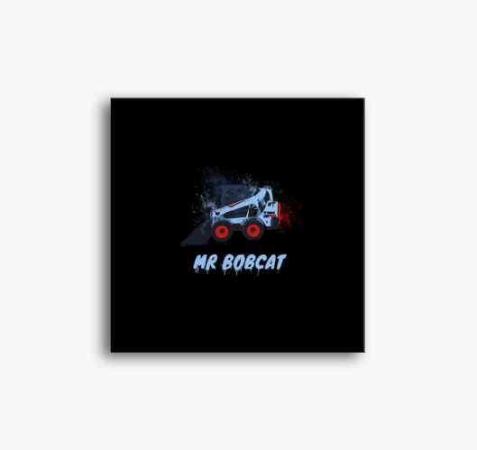 Mr Bobcat slika na platnu