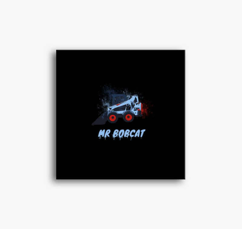 Mr Bobcat slika na platnu