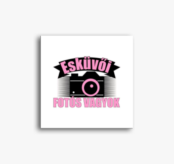 sem V2 slika na plat