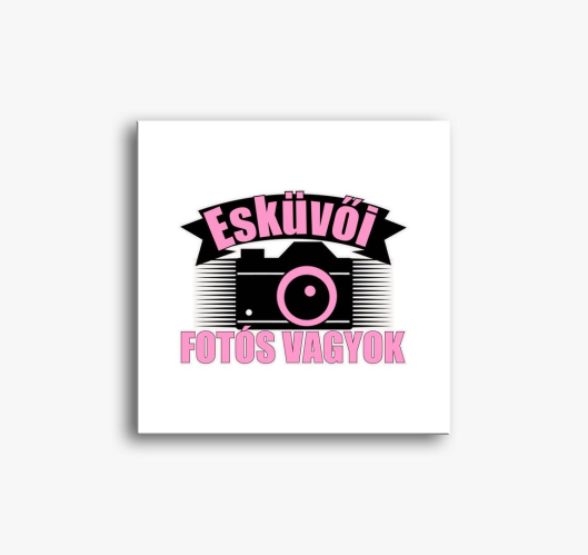 sem V2 slika na platnu