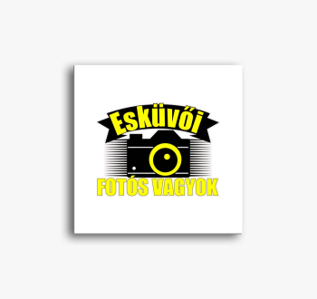 sem V3 slika na plat