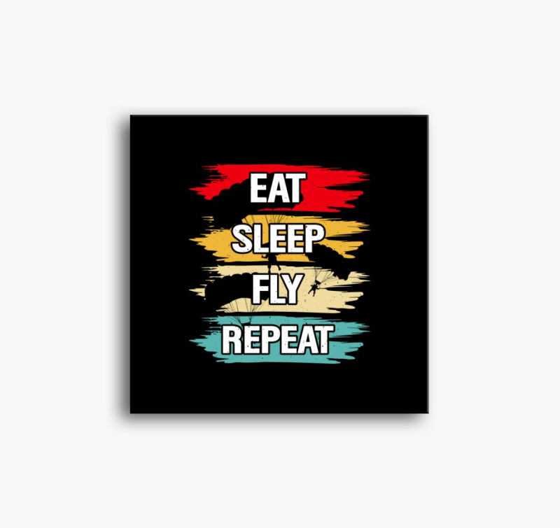 Eat sleep fly repeat slika na platnu