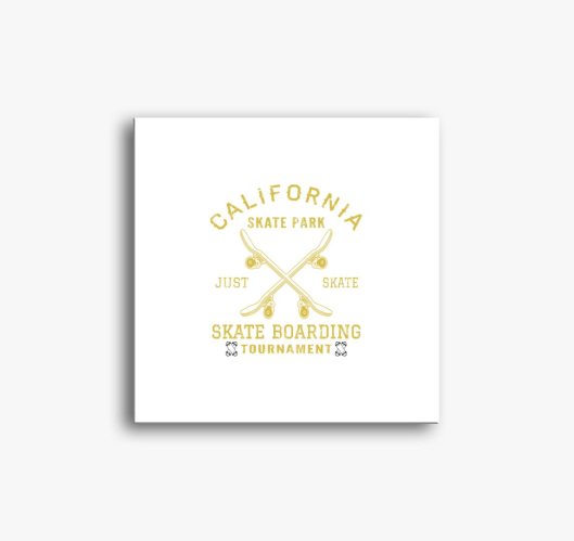 Skate park slika na platnu