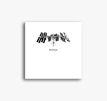 Spacejunkie slika na