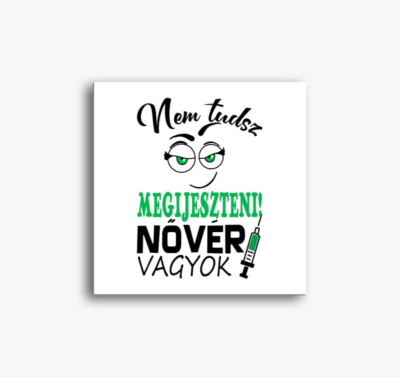 sem ne tudsz megijeszteni slika na platnu