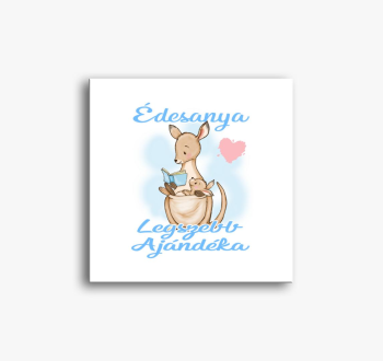 legszebb kenguru sli...