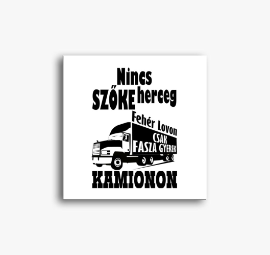 Nincs herceg csak fasza gyerek...