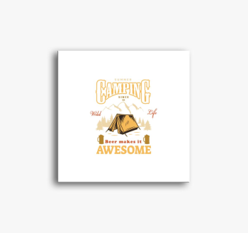 Summer camping slika