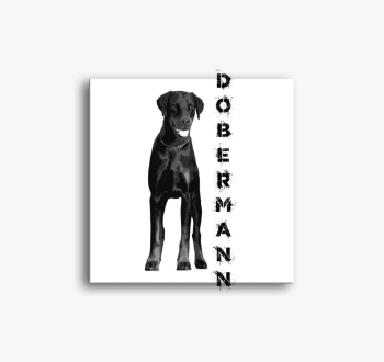 Dobermann slika na p