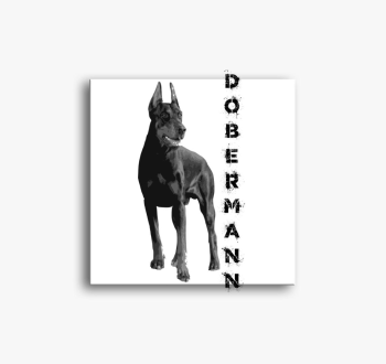 Dobermann slika na p