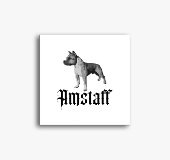 Amstaff slika na pla