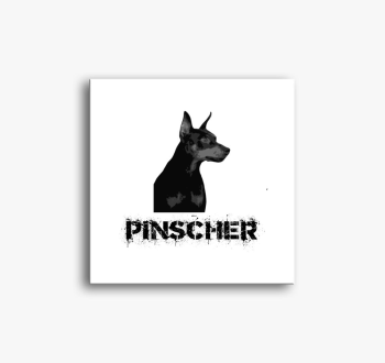 pinscher slika na pl