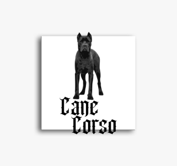 Cane Corso slika na 