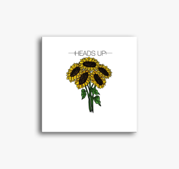 Heads up slika na pl