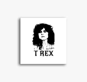 T-REX Marc Bolan rajz slika na platnu