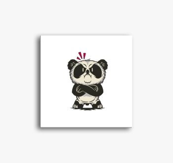 Morcos panda slika n