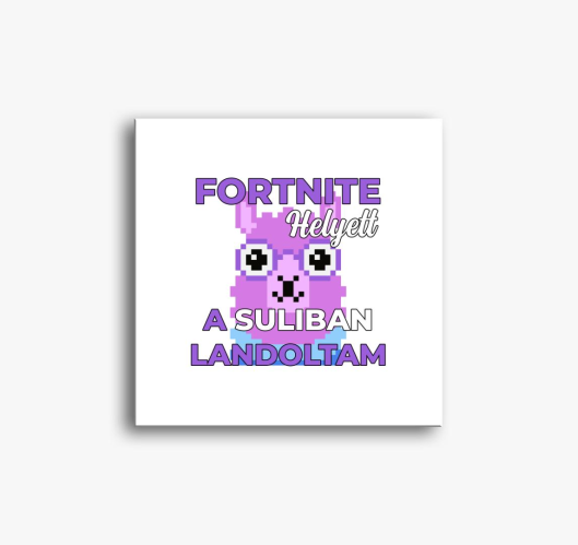 Fortnite helyett suliban lando...