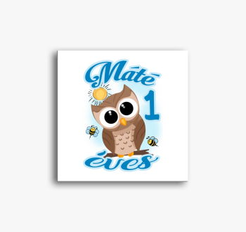 Bagoly gyerek slika na platnu