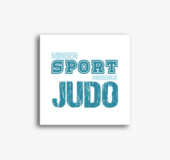 Vsak sport judo slik...