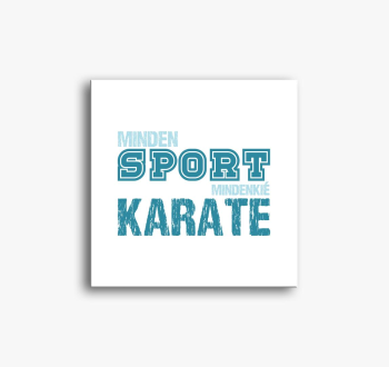 Vsak sport karate sl...