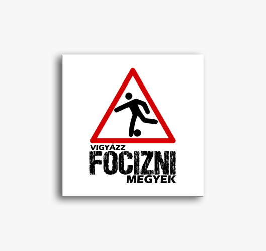 focizni megyek slika na platnu